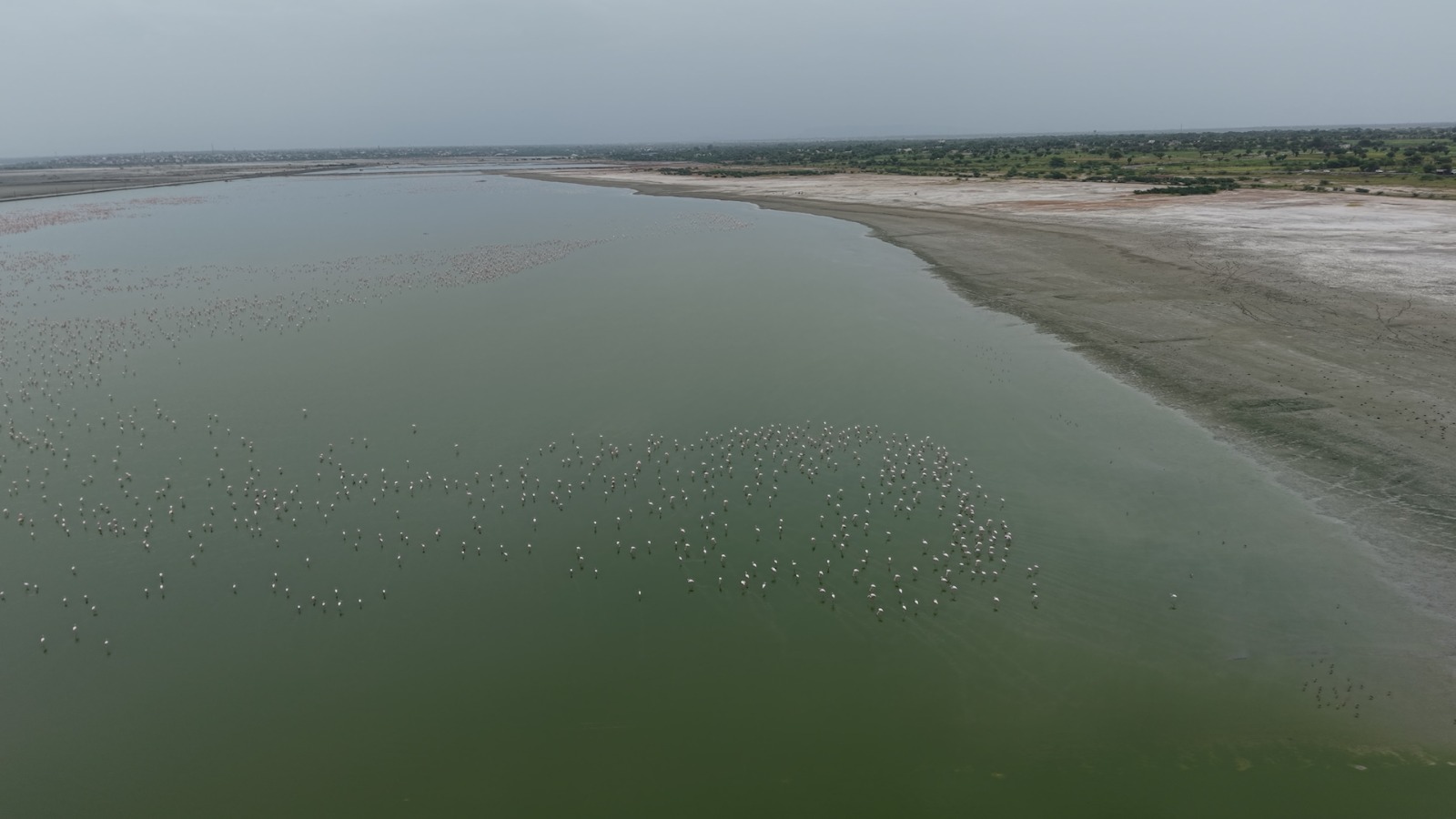 Top View